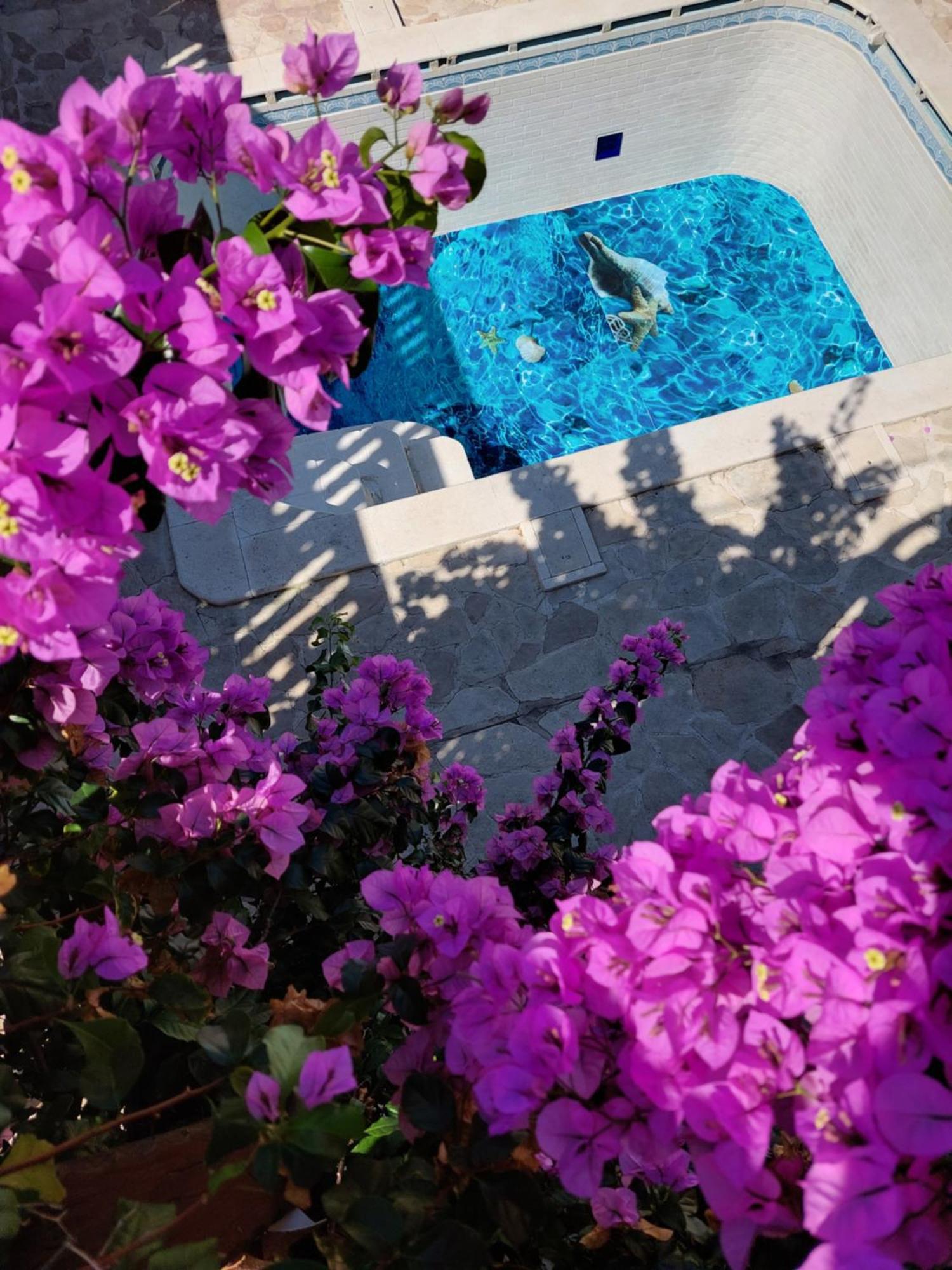 Studios Villa Romantica Ζαντάρ Εξωτερικό φωτογραφία